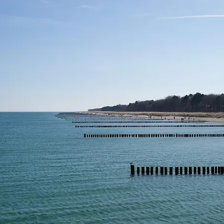 H24zingst - 징스트