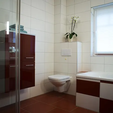 H24zingst - 青斯特